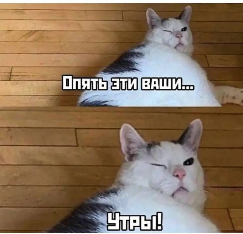 Фото поста канала НМШ 