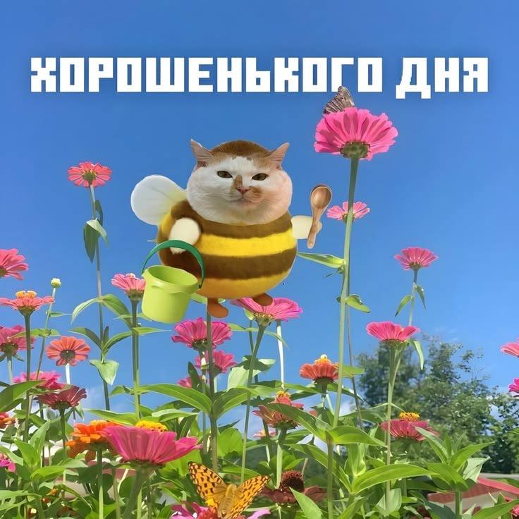 Фото поста канала  Новости Ростова | 161.RU