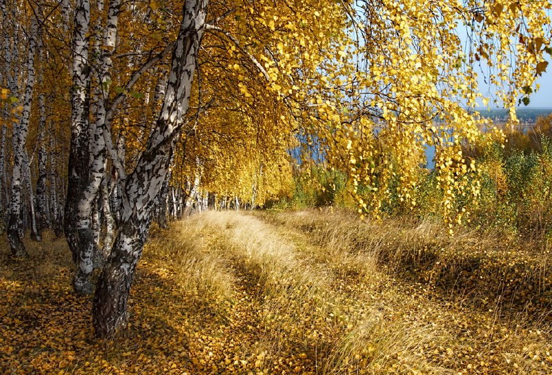 Фото поста канала  Твой Курский край | Новости приграничья