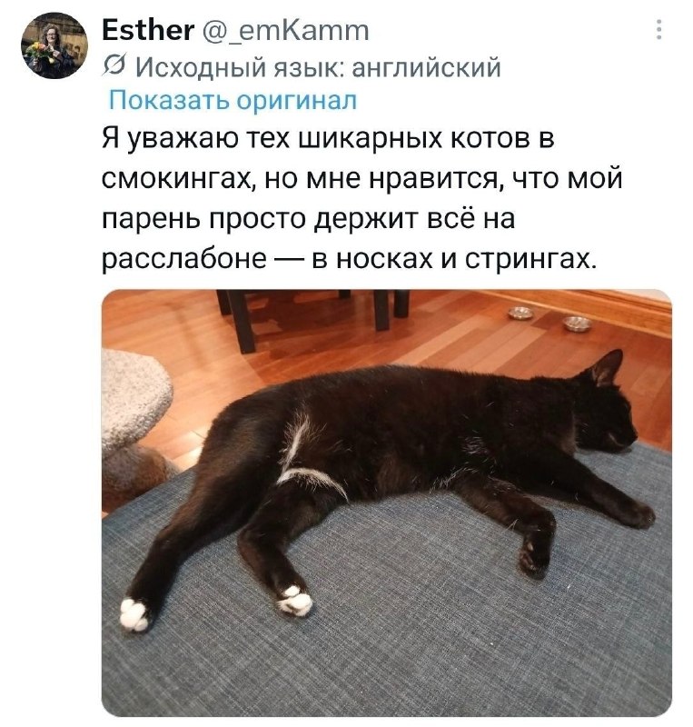Фото поста канала твиттота