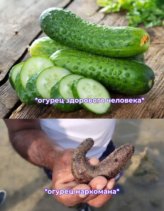 Фото поста канала Лента дня