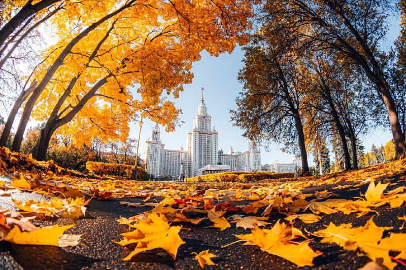 Фото поста канала  Блумберг
