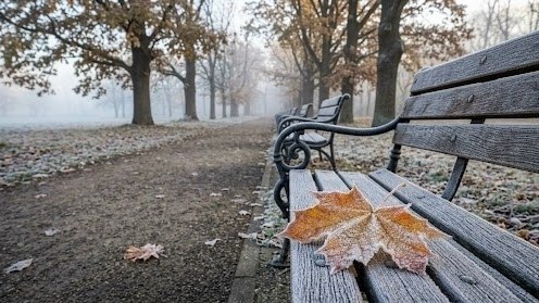 Фото поста канала  IvanovoNEWS | Барс | Новости | Иваново