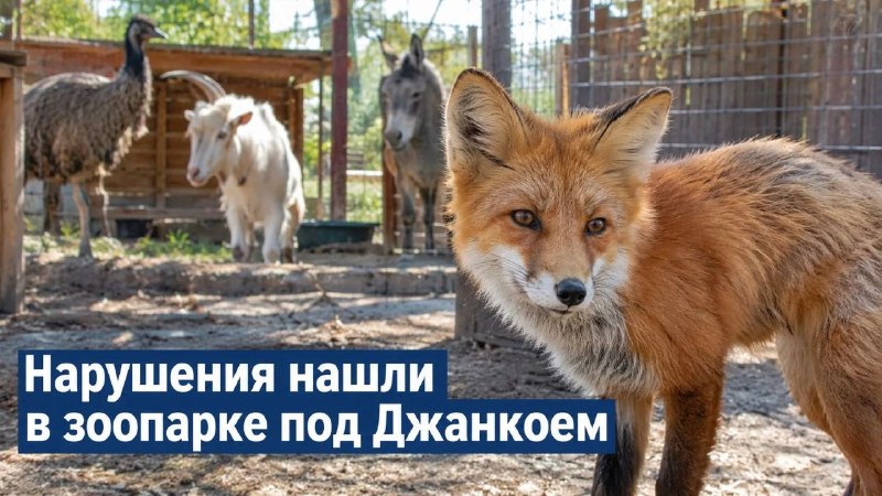 Фото поста канала  НОВОСТИ КРЫМ СЕВАСТОПОЛЬ
