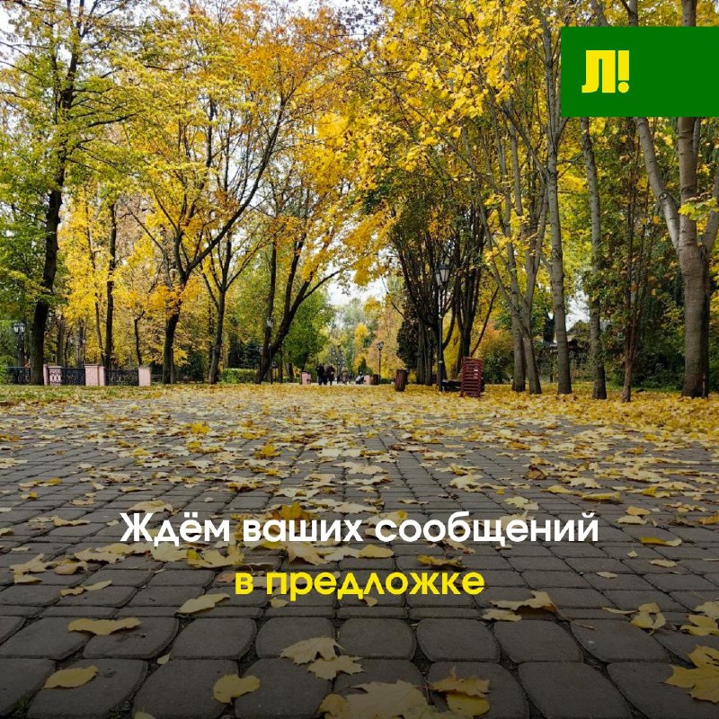 Фото поста канала  Липецк №1