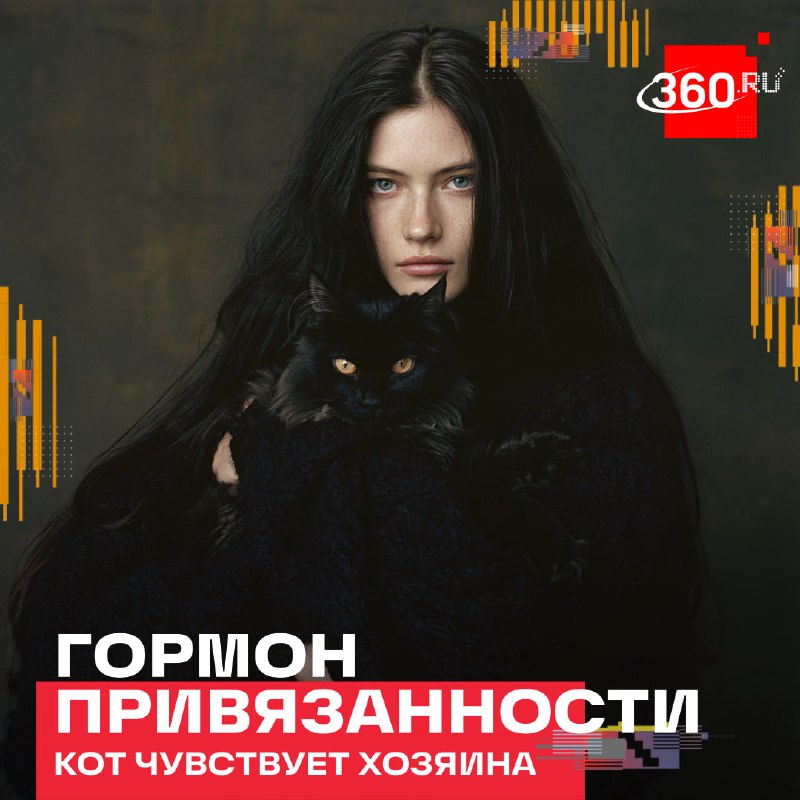 Фото поста канала Комсомольская правда: KP.RU