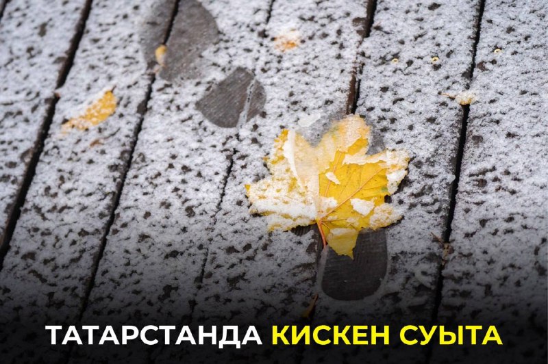 Фото поста канала  Мөслим-информ / Муслюмово