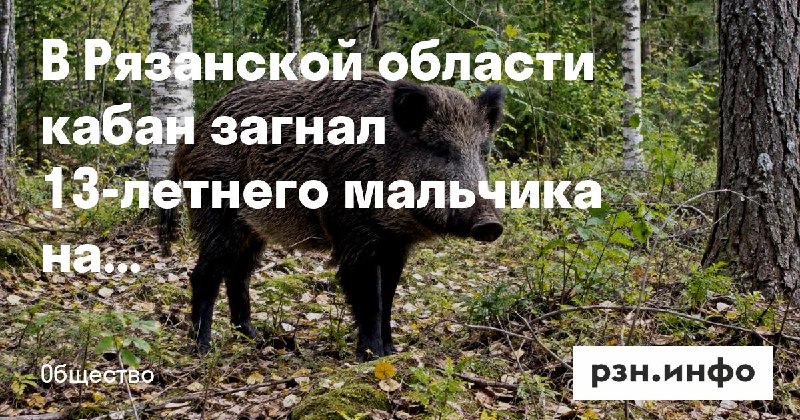 Фото поста канала  Новости Рязани • РЗН.инфо