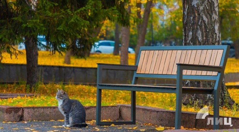 Фото поста канала  «Лисичанск - колыбель Донбасса»