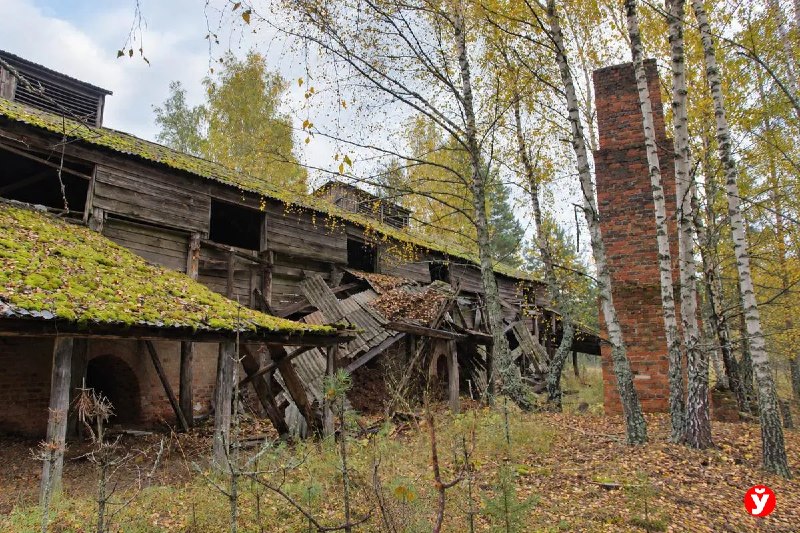Фото поста канала  Виртуальный Брест новости
