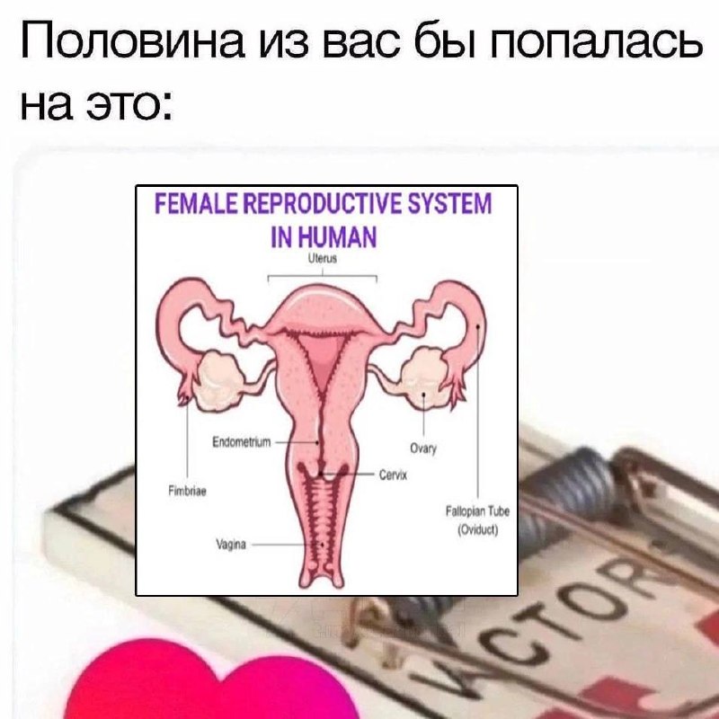 Фото поста канала  СЛАВА БОГУ У НАС ЕСТЬ МЕМЫ