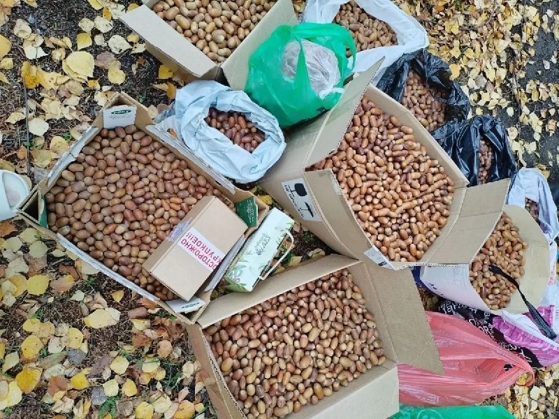 Фото поста канала  Орловские новости