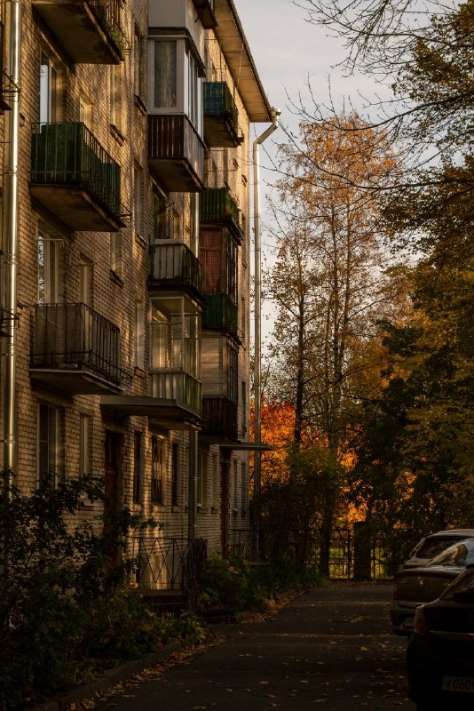 Фото поста канала  Типичный Воронеж