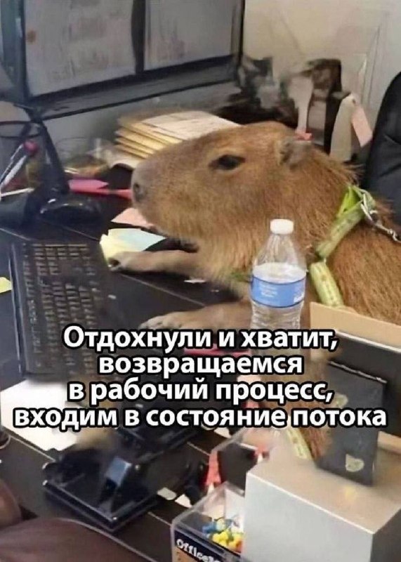 Фото поста канала  Балашухер