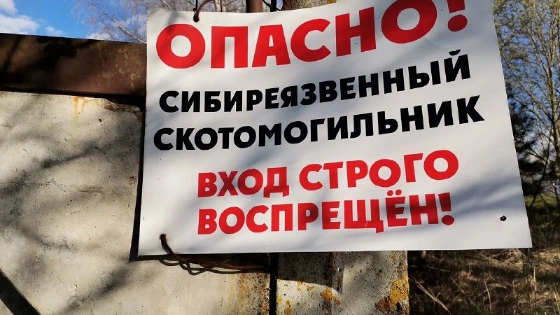 Фото поста канала  RostovGazeta.ru | Ростовская область