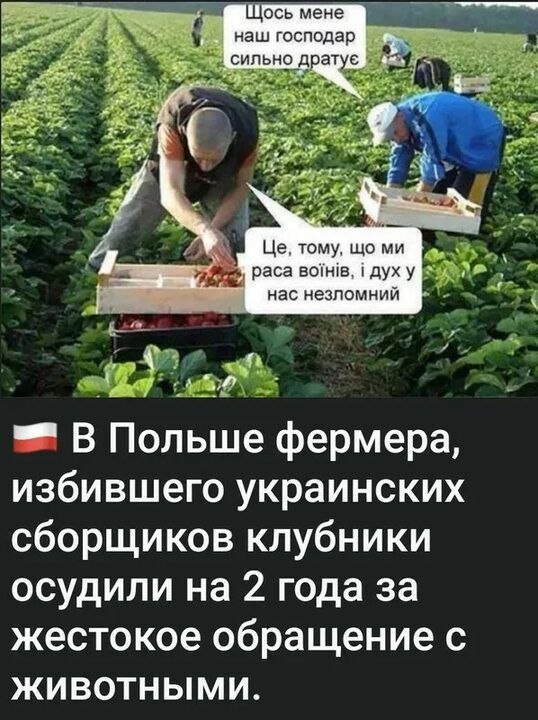 Фото поста канала  🇷🇺КРАСНОЕ ЗВЕНО🔗🔥