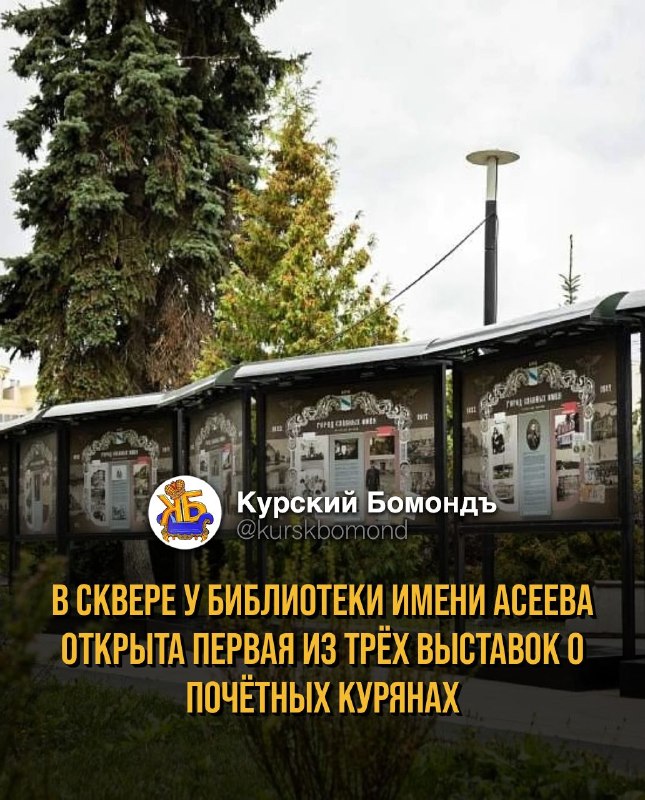Фото поста канала  КУРСКИЙ БОМОНДЪ