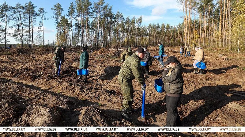 Фото поста канала  Виртуальный Брест новости