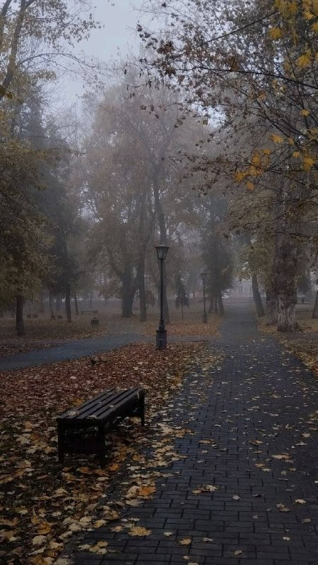 Фото поста канала  Ночной дозор
