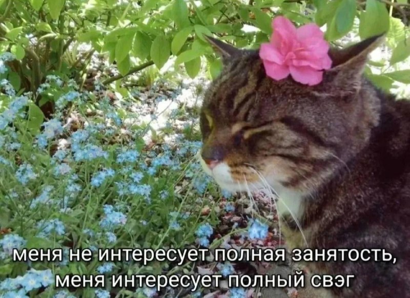 Фото поста канала Chita.Ru | Новости Читы