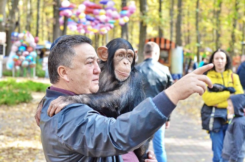 Фото поста канала  Харьков. Главное