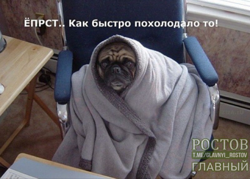 Фото поста канала  Ростов Главный новости