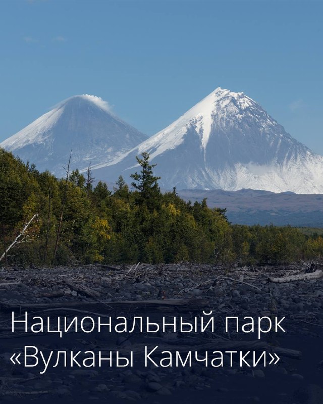 Фото поста канала  16 негритят