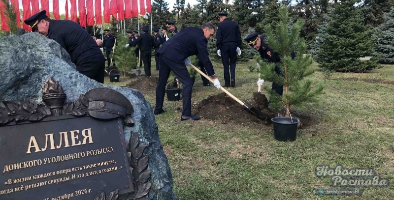 Фото поста канала  Новости Ростова - Rostovnews61