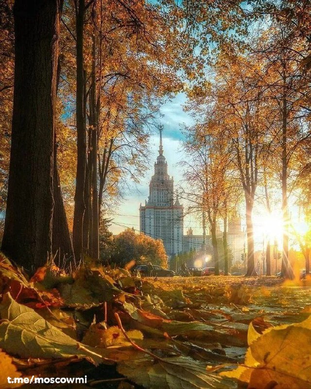 Фото поста канала  Моя Москва