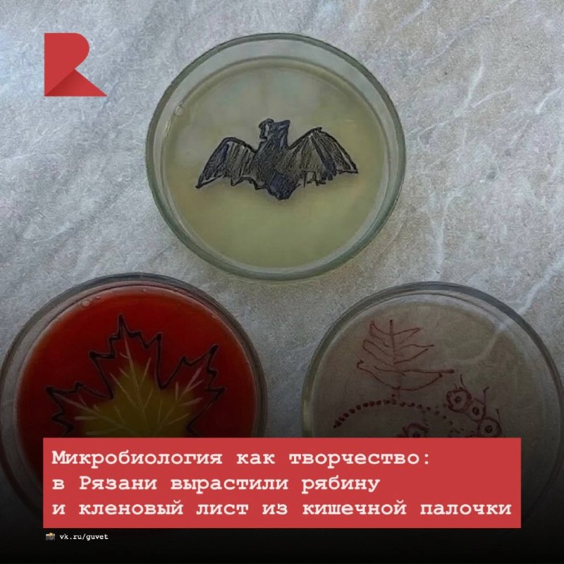Фото поста канала RZN LIFE | ЖИЗНЬ РЯЗАНИ | РЯЗАНЬ