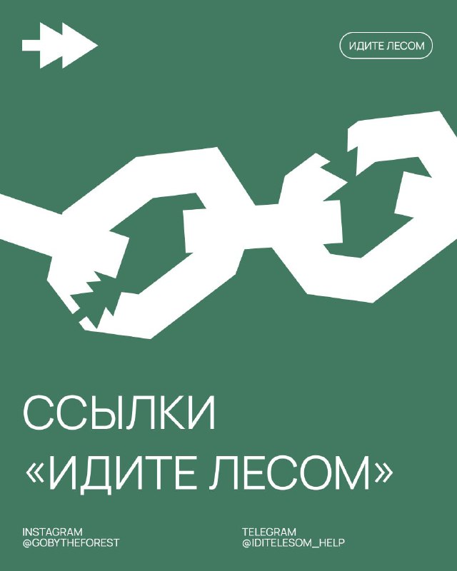 Фото поста канала Идите лесом!