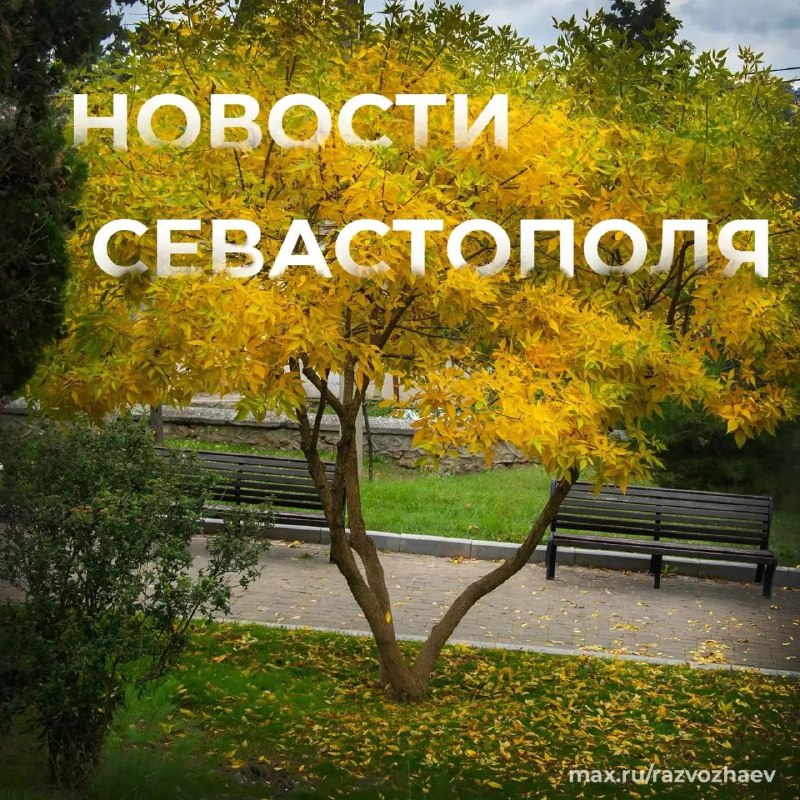 Фото поста канала  РаZVожаев