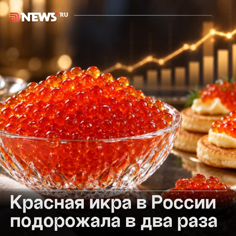 Фото поста канала  NEWS.ru | Новости