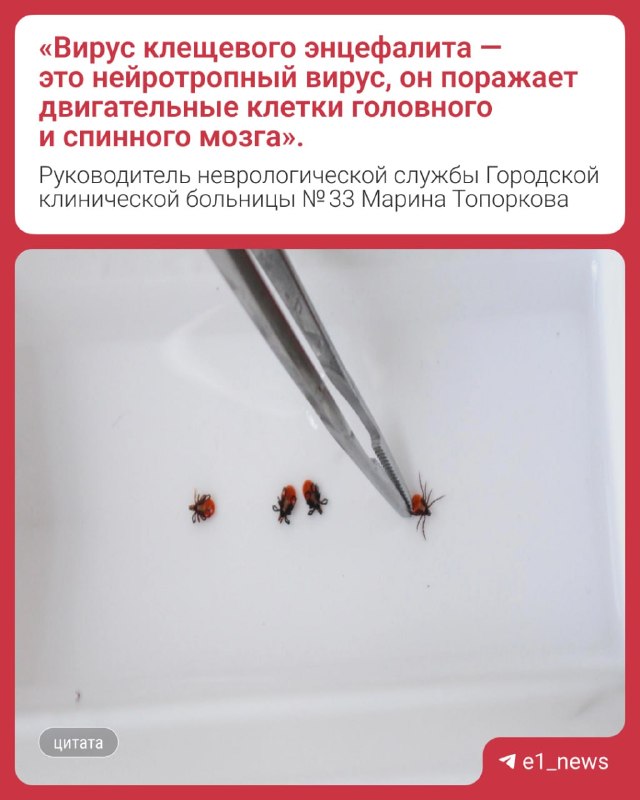 Фото поста канала  Мониторинг 66 Свердловская область