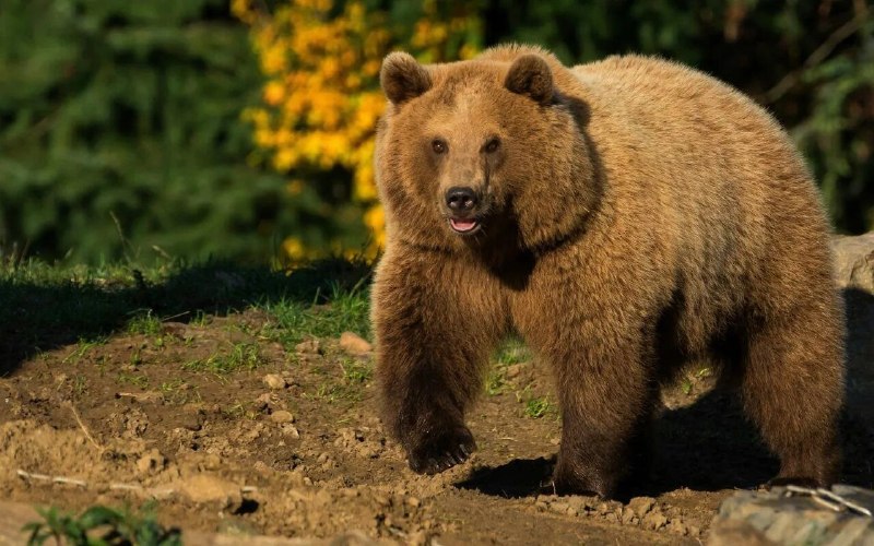 Фото поста канала  Бабка знает всё!