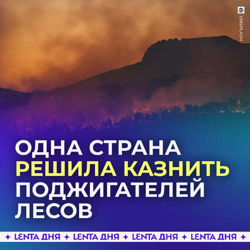 Фото поста канала Лента дня