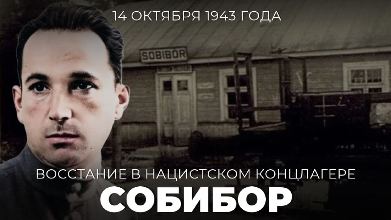Фото поста канала  МИД России 🇷🇺