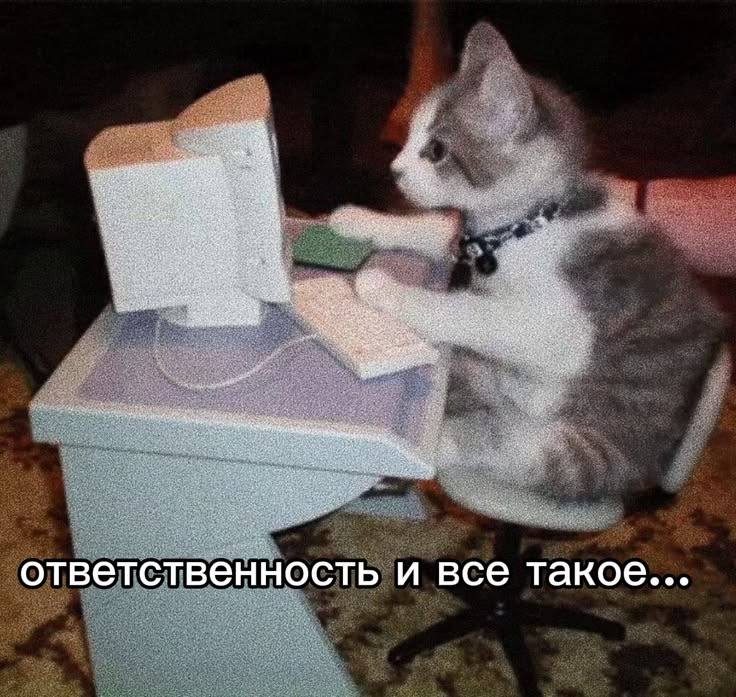 Фото поста канала  Мониторинг 45 Курганская область