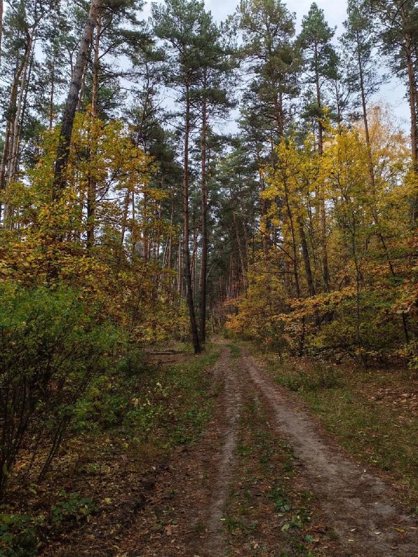 Фото поста канала  Белгород Новости