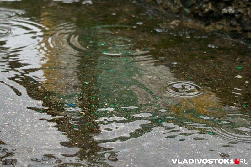 Фото поста канала  VLADIVOSTOK1.RU | Новости Приморья