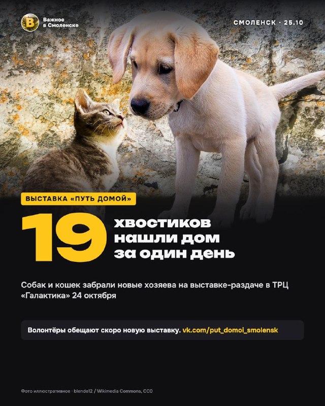 Фото поста канала  Важное в Смоленске