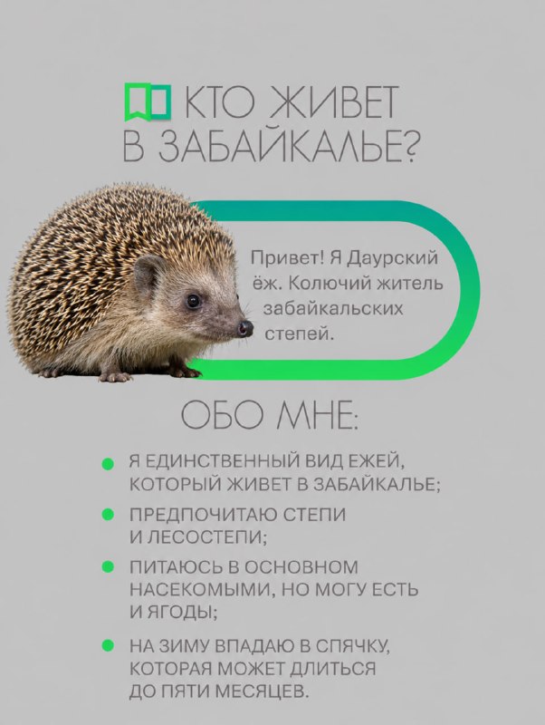 Фото поста канала Chita.Ru | Новости Читы