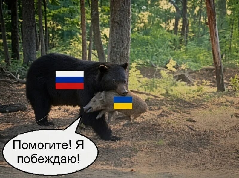 Фото поста канала  Каргач 🇷🇺⚡️Ꙃ