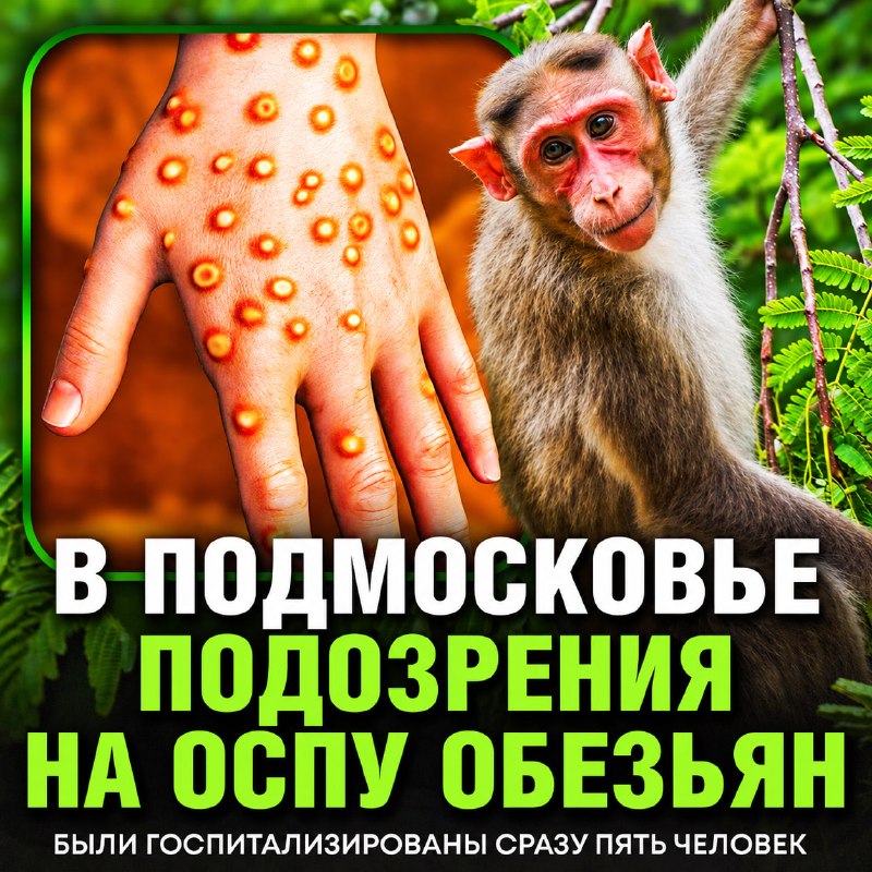 Фото поста канала  Рифмы и Панчи 🤯