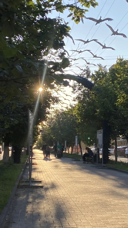Фото поста канала  Калуга, внимание