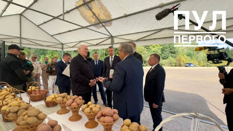 Фото поста канала Пул Первого