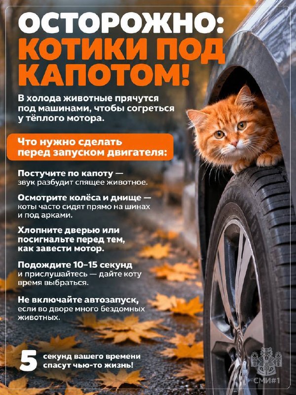 Фото поста канала Новости Казани и Республики Татарстан