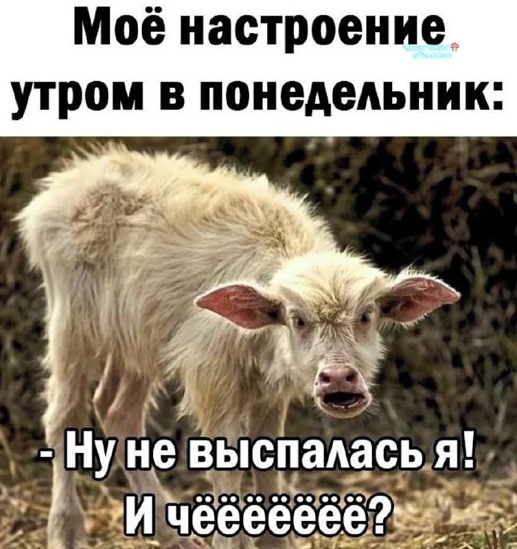 Фото поста канала  Ходють тут всякие!🍄