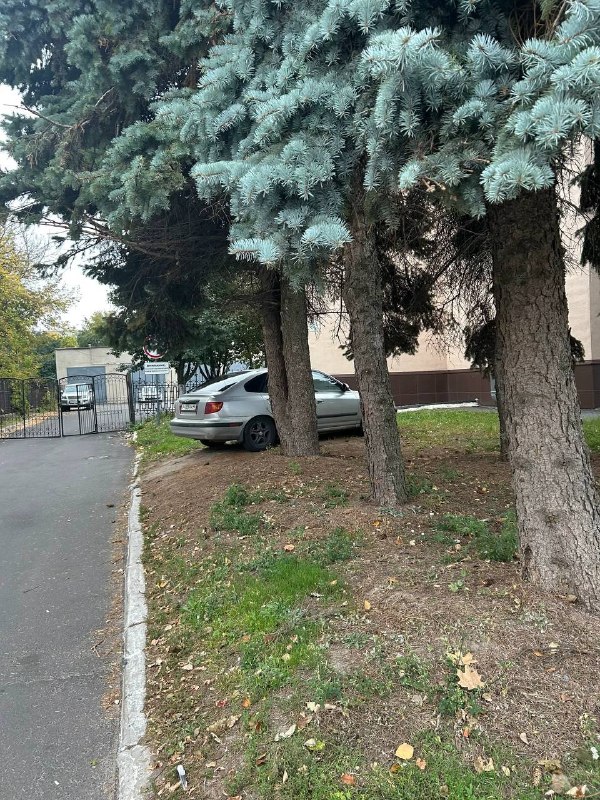 Фото поста канала  Подслушано Курчатов