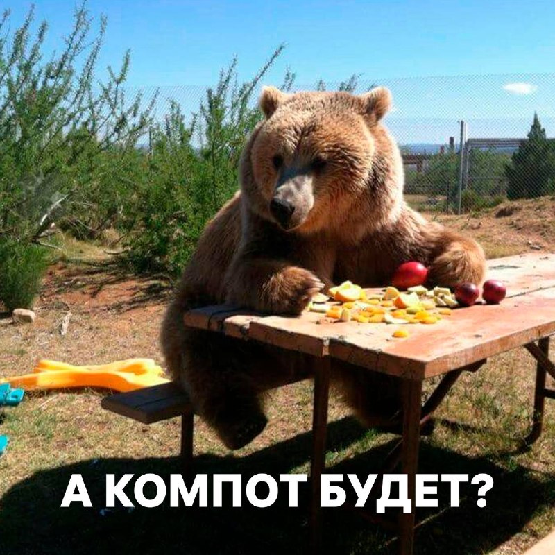 Фото поста канала НМШ 